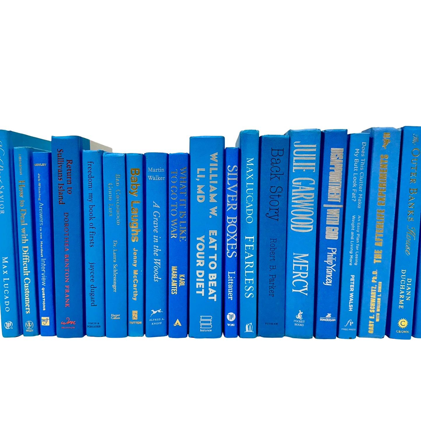 Light Blue Books