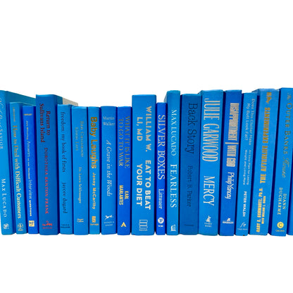 Light Blue Books