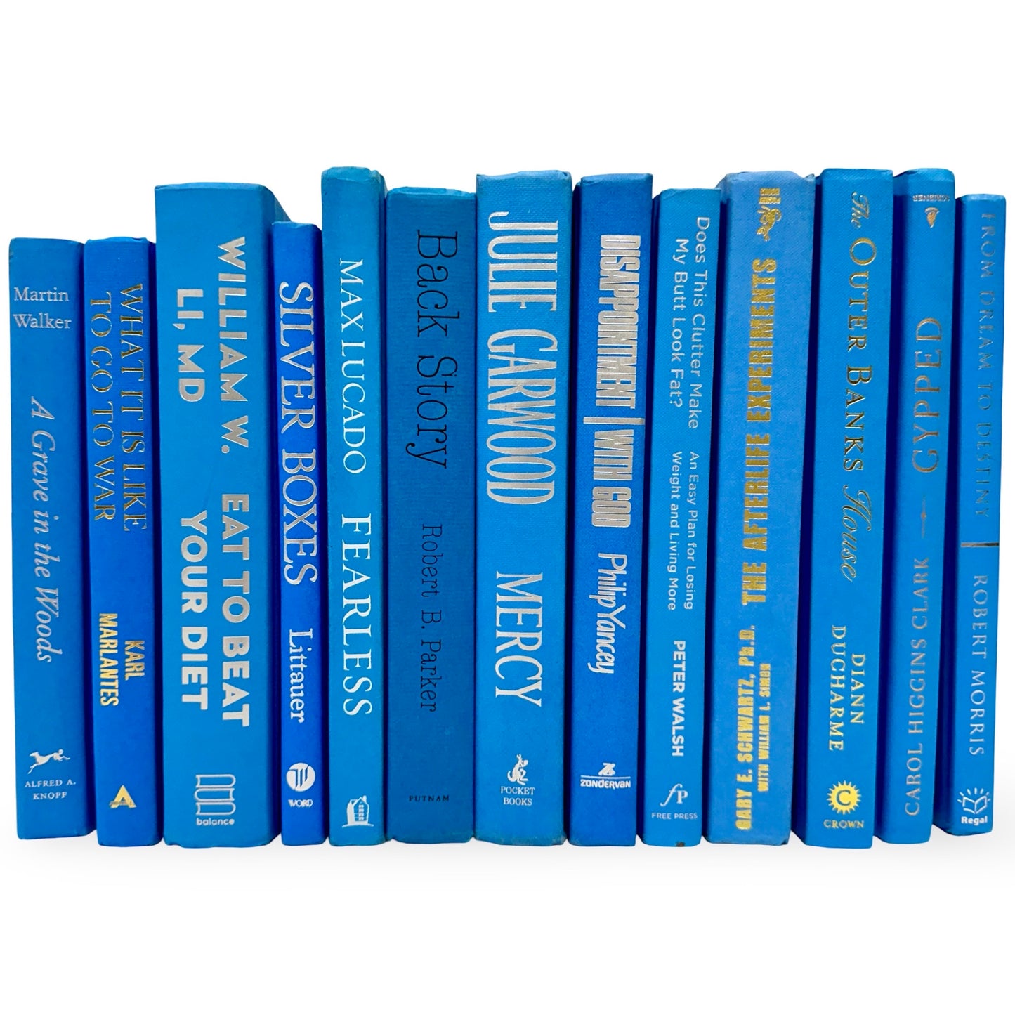 Light Blue Books