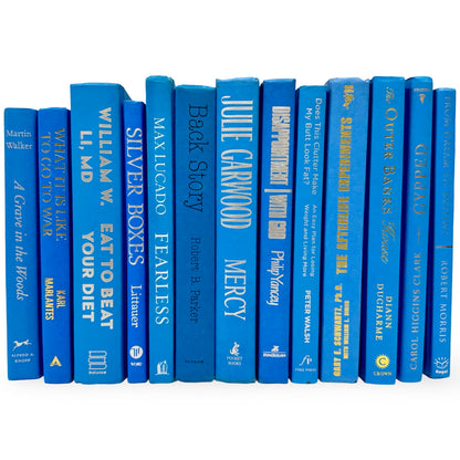 Light Blue Books